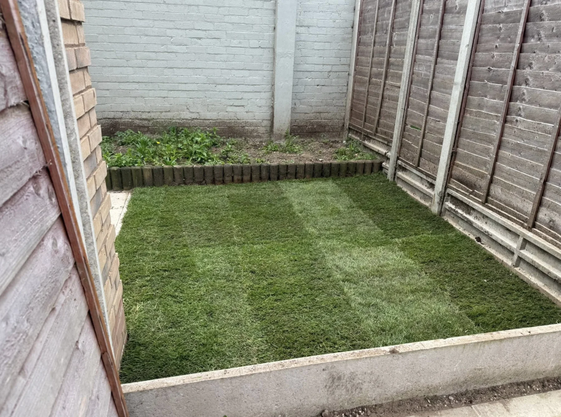 Fresh turf fitted in a compact garden