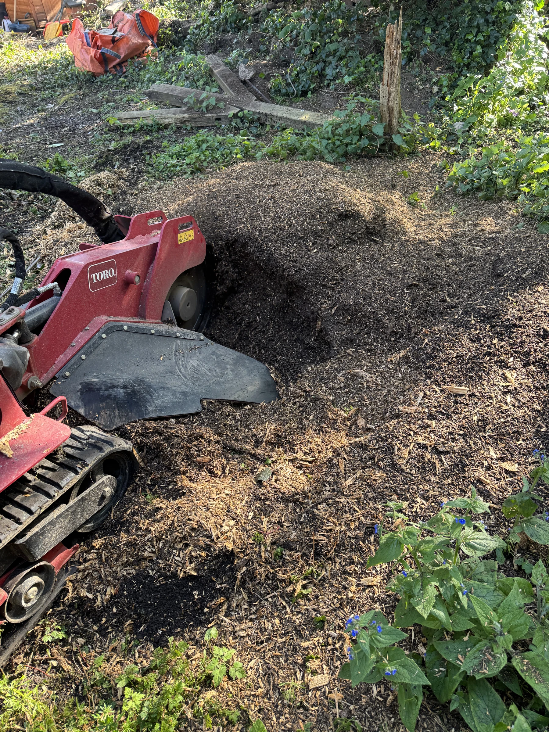 Stump grinder cutting a tree stump in a garden border